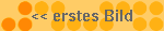zum ersten Bild